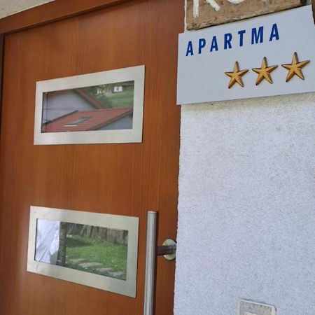 Pr' Petrcu Apartman Tolmin Kültér fotó